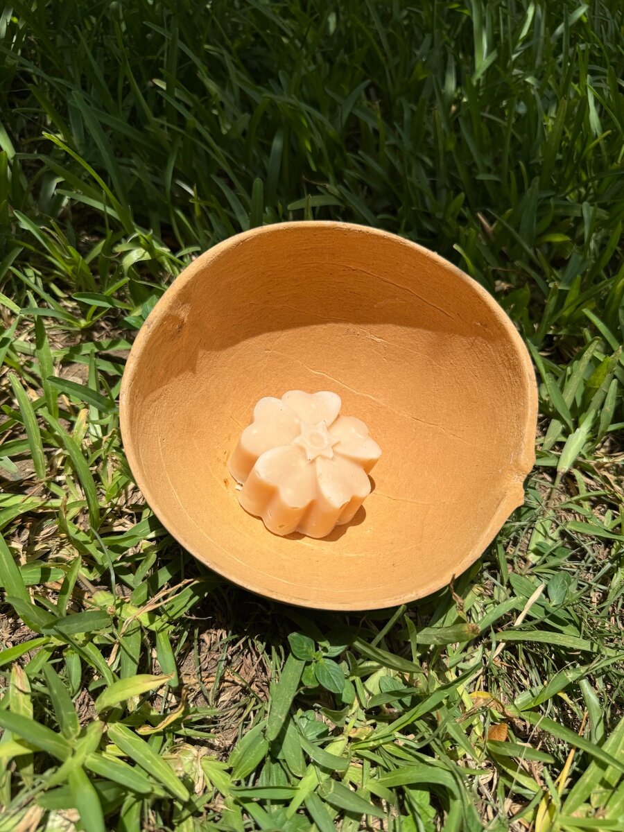 4 Savons à l'aloès 130g