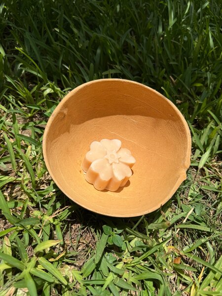 4 Savons à l'aloès 130g