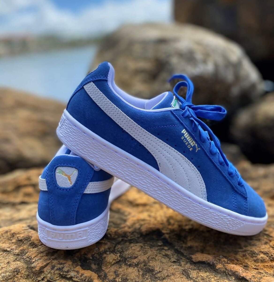 Baskets Classiques Puma