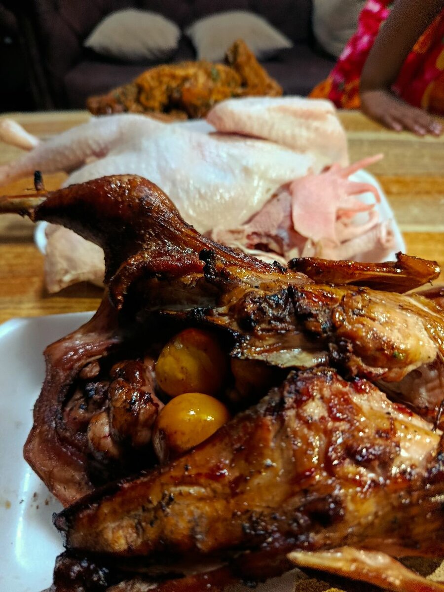 Pack spécial Pondeuse