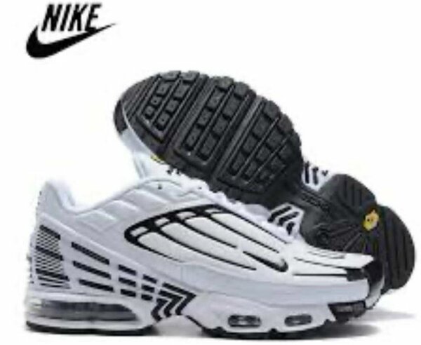 Chaussures Nike Air Max