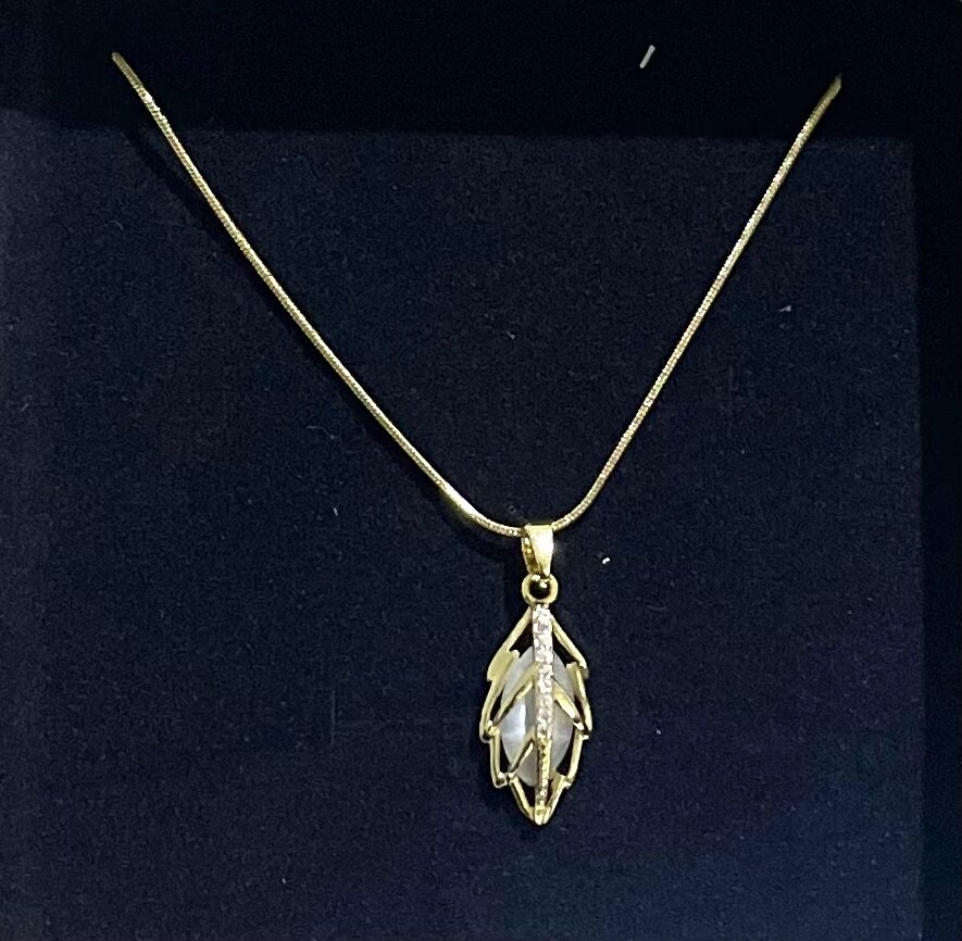 Chaîne en acier inoxydable