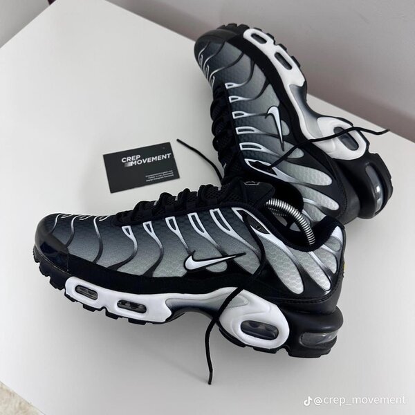 Baskets Nike Air Max Plus