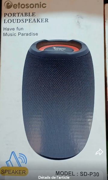 Enceinte Bluetooth Portable