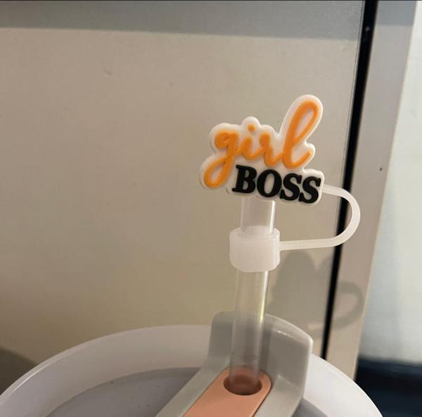 Fancy Stanley Straw Covers 