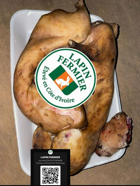 LAPINFERMIER 🐇🔥