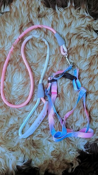 Harnais réglable pour animaux