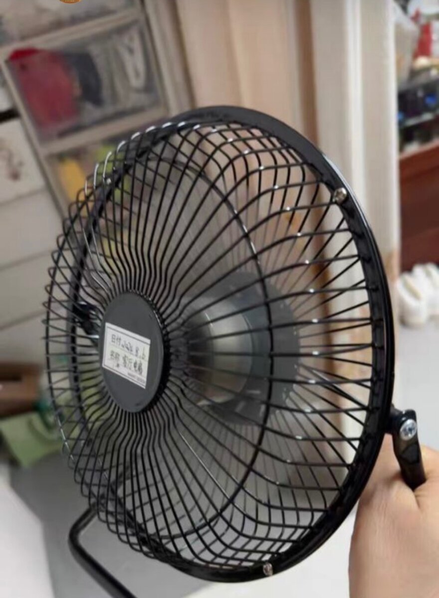 Fan