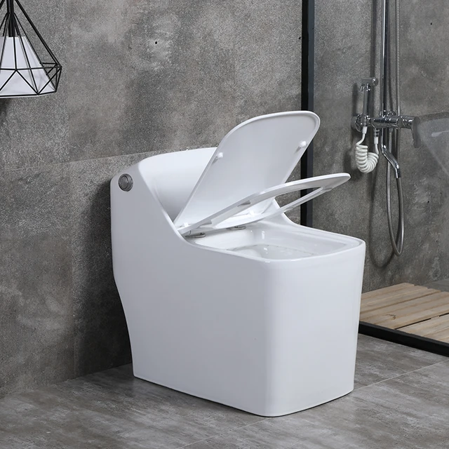 Syphonic system water closet