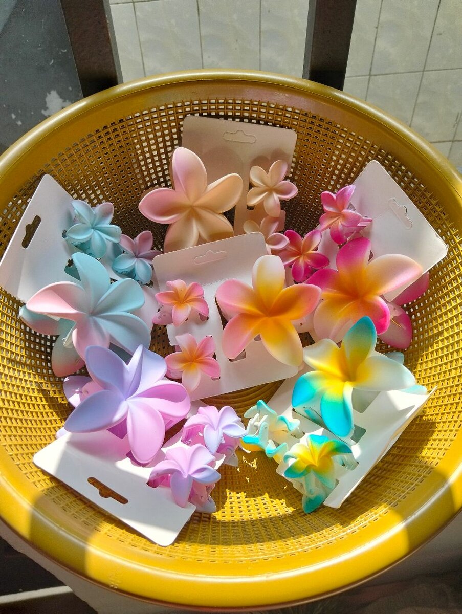 Barrettes fleurs colorées