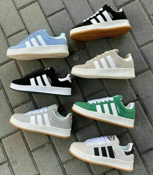 Adidas CAMPUS...avec carton