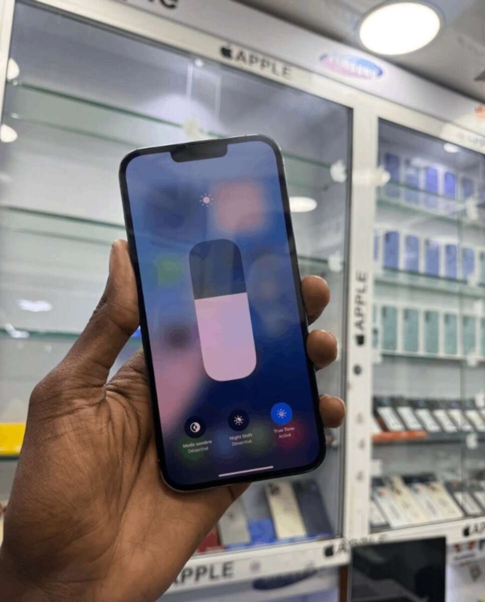 iPhone 13 Pro Max 256GB