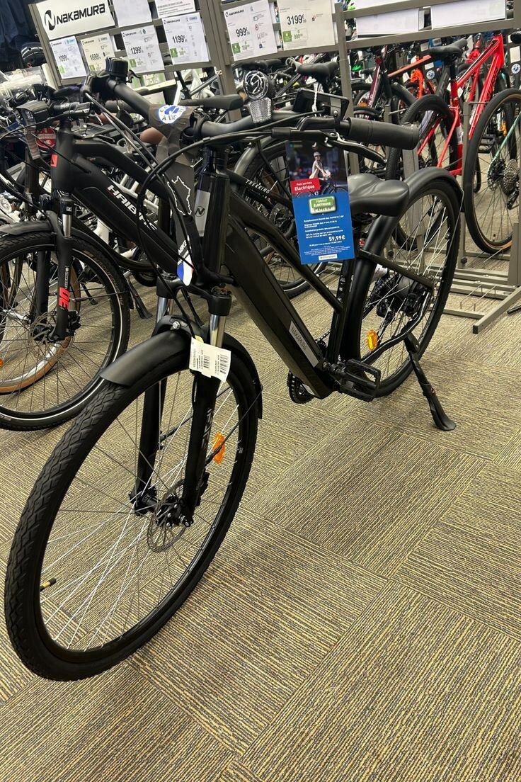 Vélo électrique tout-terrain