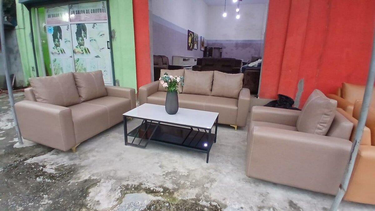 Salon en similicuir  Bracarré