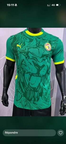 Maillot de football équipe nationale