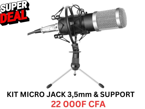 Micros PROFETIONNELS 