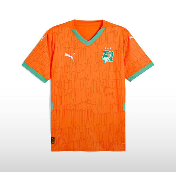 Maillot Côte d'Ivoire Puma