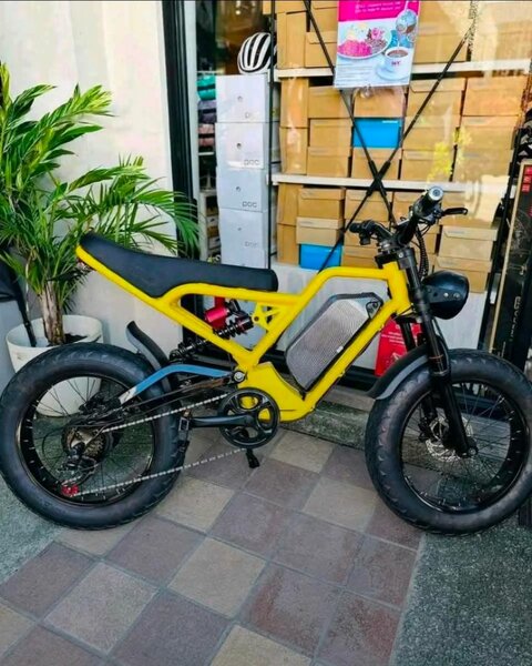 Vélo électrique puissant urbain