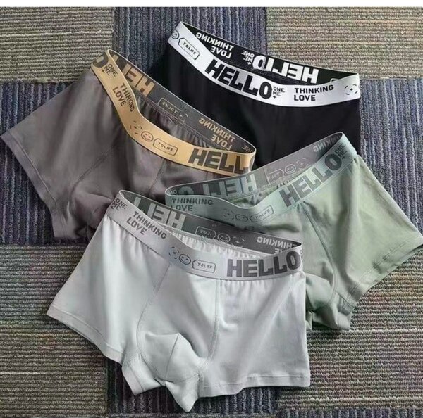 Ladies panties and men boxers