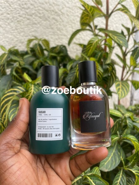 Parfum Unisexe Élegant 50ml