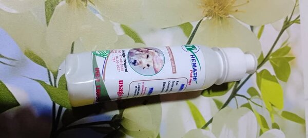 Solution nettoyant pour animaux