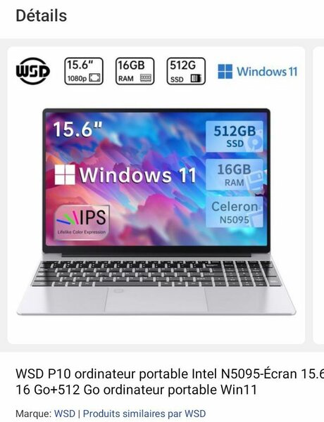 Ordinateur Portable WSD P10 15.6”