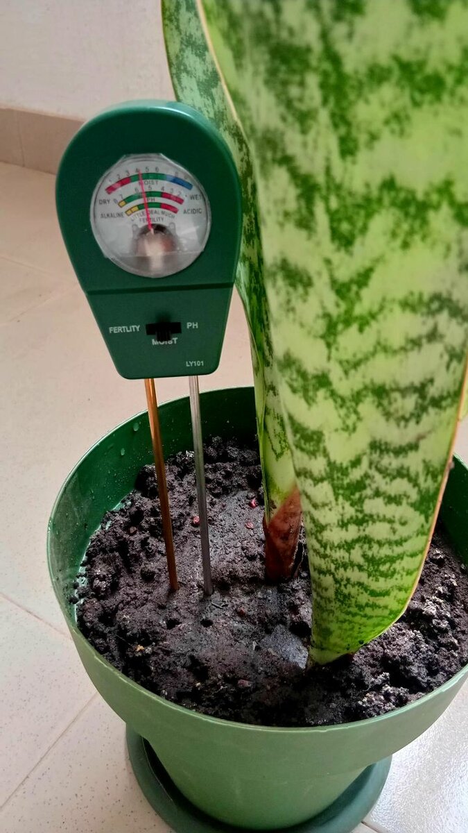 Original Three in One Soil Tester (Ph, fertility and moistur