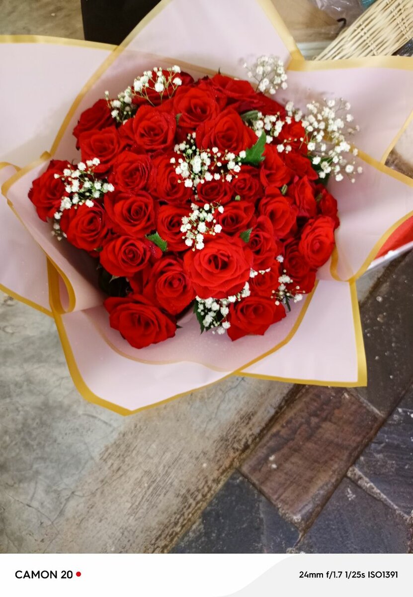 Red Roses+gypso