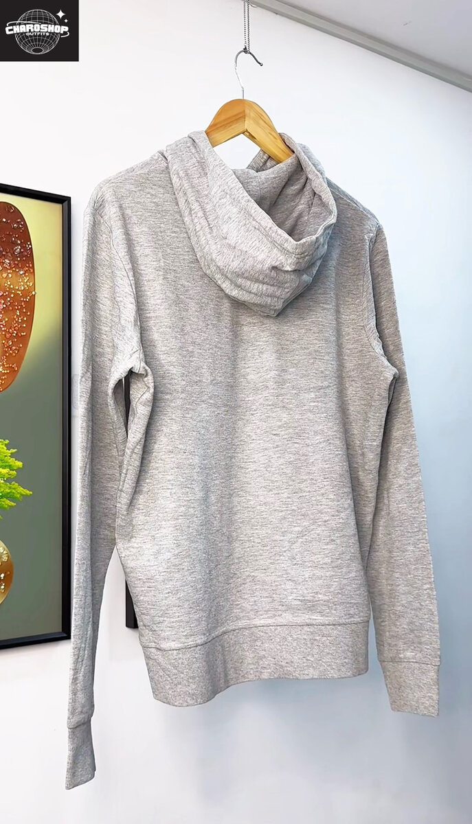 Sweat à Capuche Gris