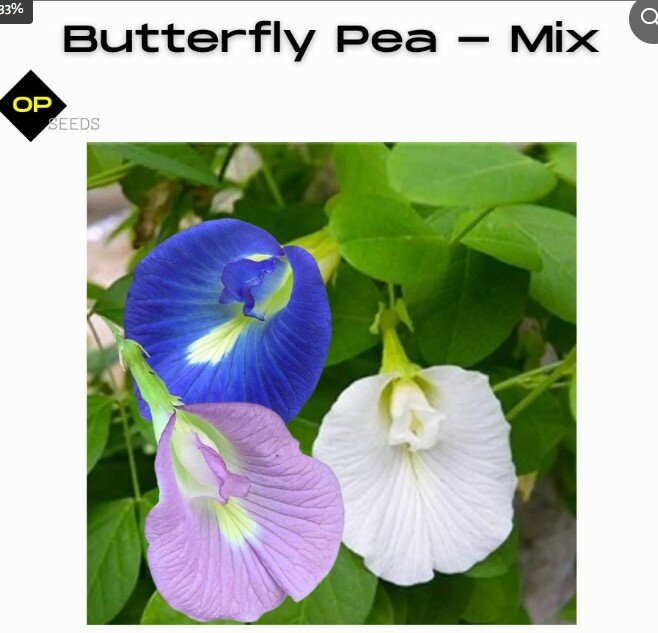 Butterfly Pea Seeds – Mix