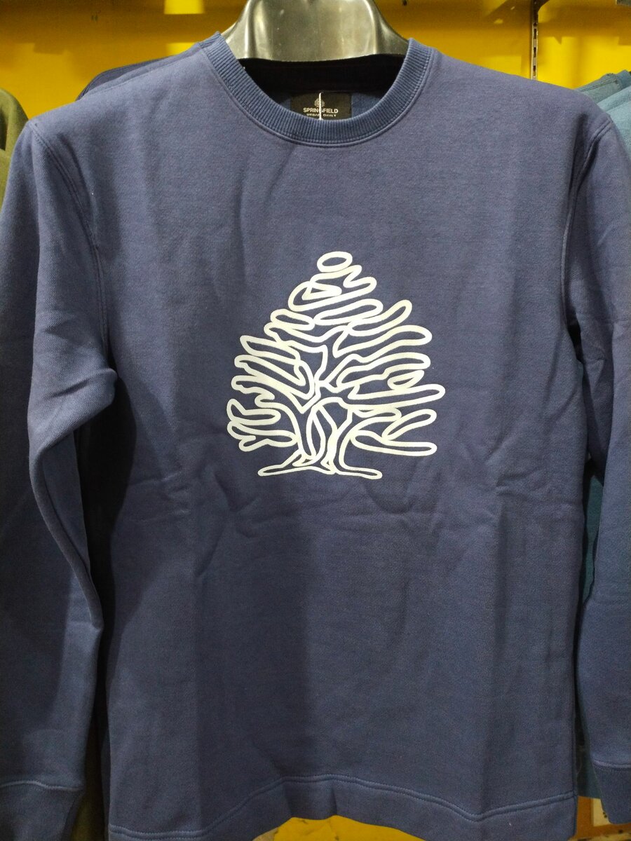 Men Sweatshirt