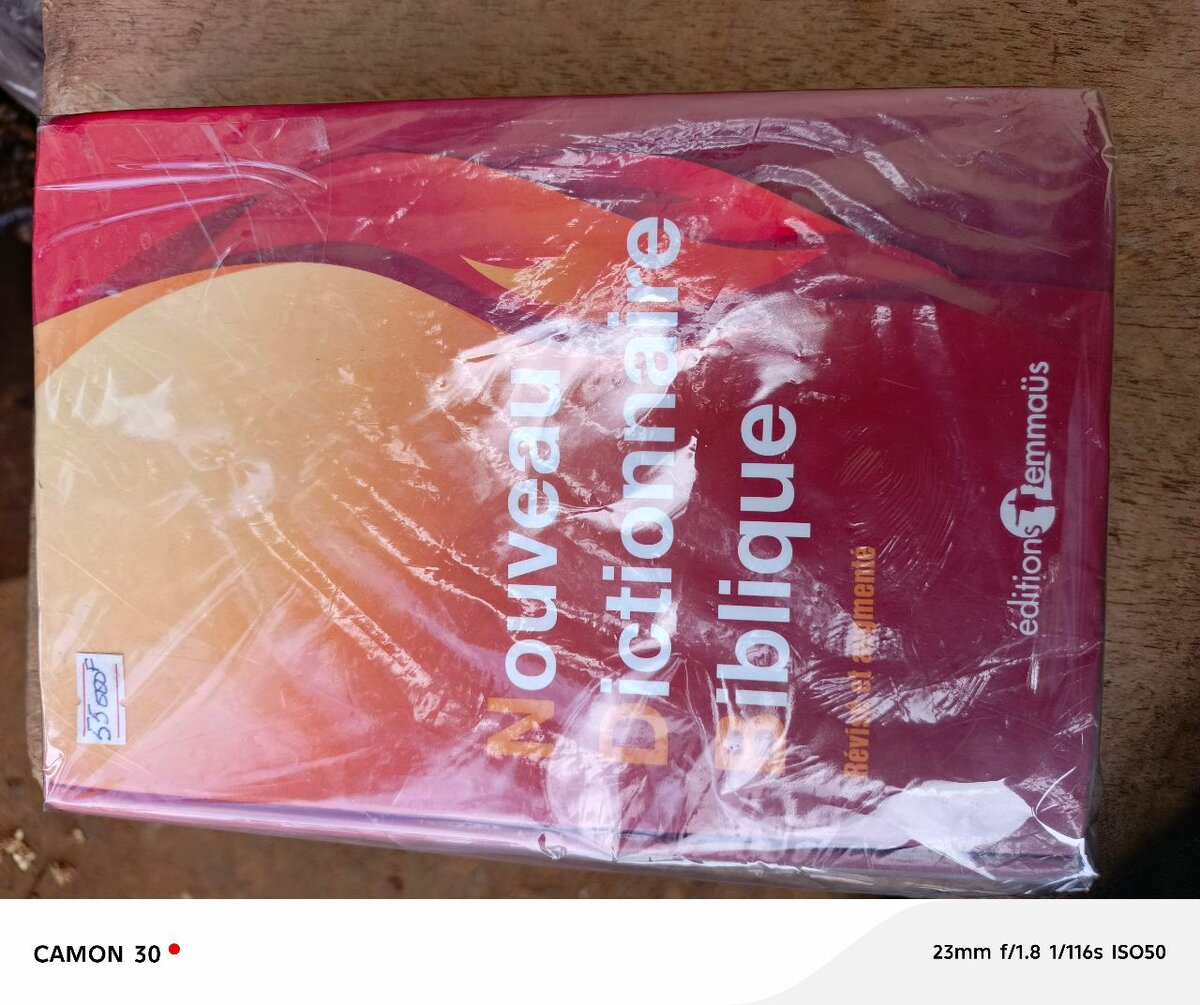 Nouveau Dictionnaire Biblique