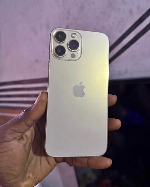 iPhone 13 Pro Max Argent