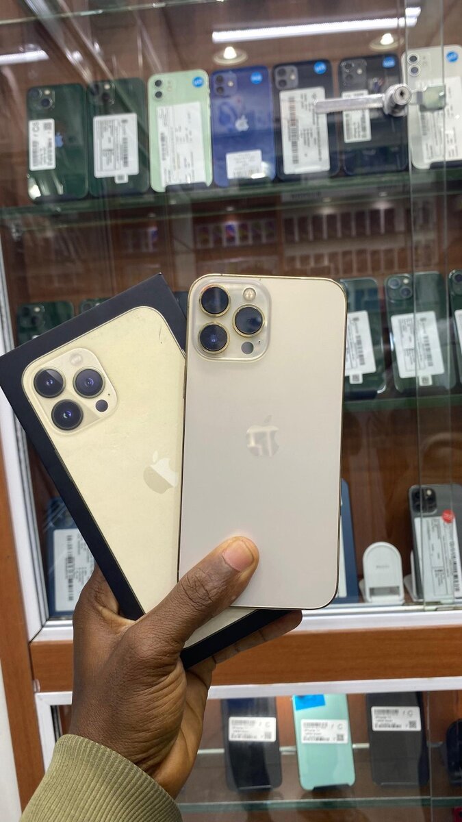 13 pro max CE 256giga sans ID