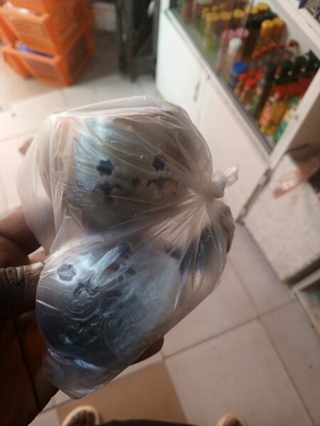 Encensoirs électrique