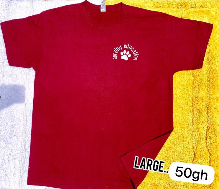 Men's Thrifted T-shirts