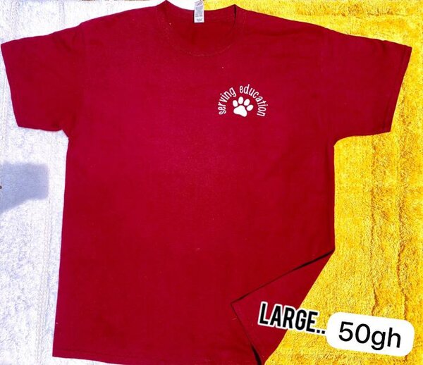 Men's Thrifted T-shirts