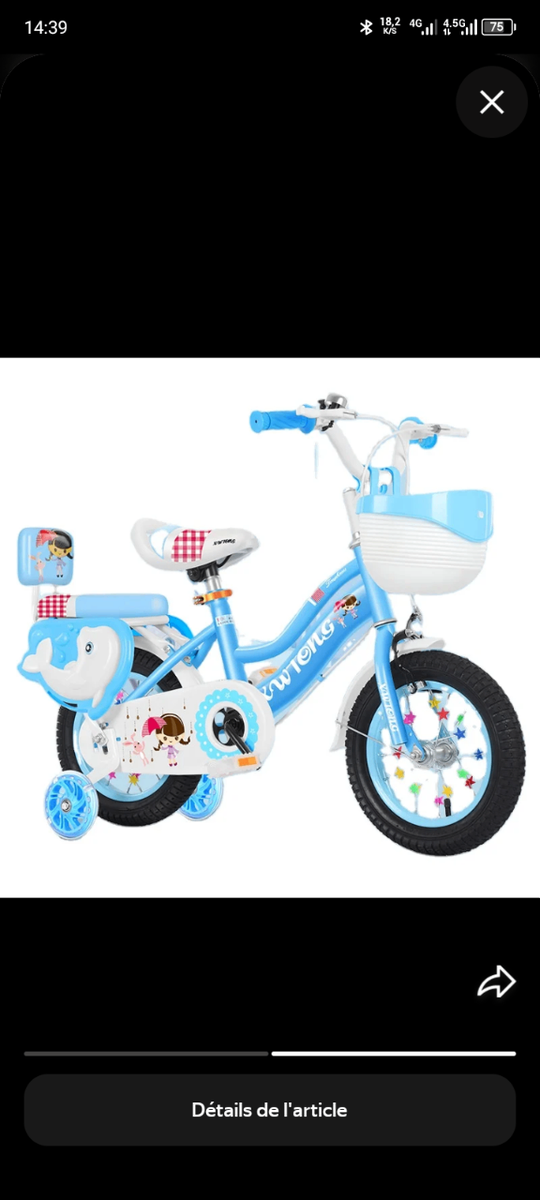 Vélo Enfant Rose et Bleu