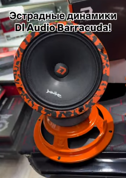 DL AUDIO BARRACUDA 16