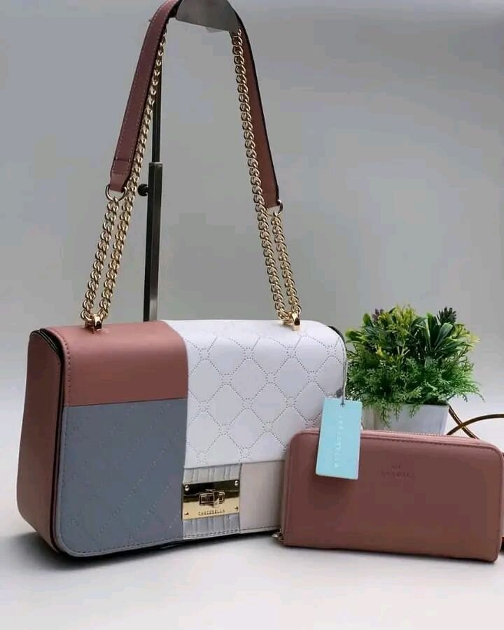 Sac à main élégant cuir