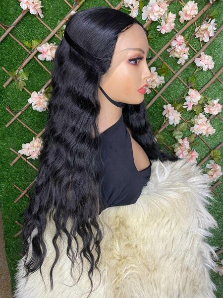 Zona body 1b et zona body 27