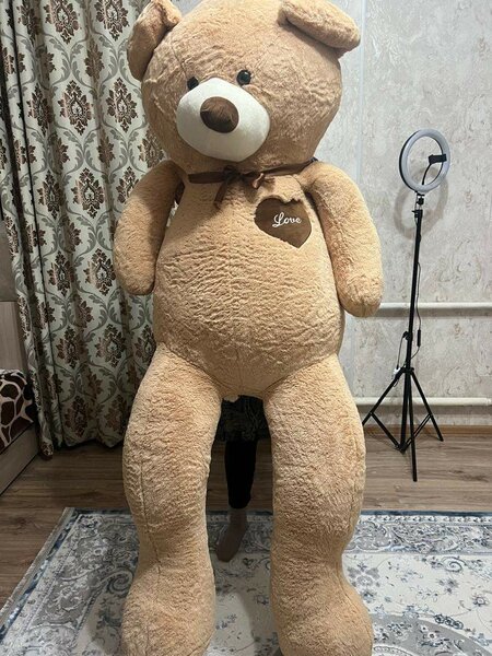 Мишка, высота 1,6