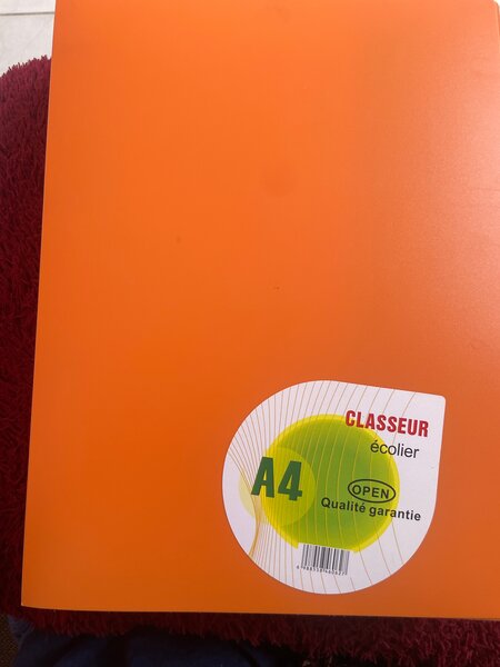 A4 Orange Ring Binder