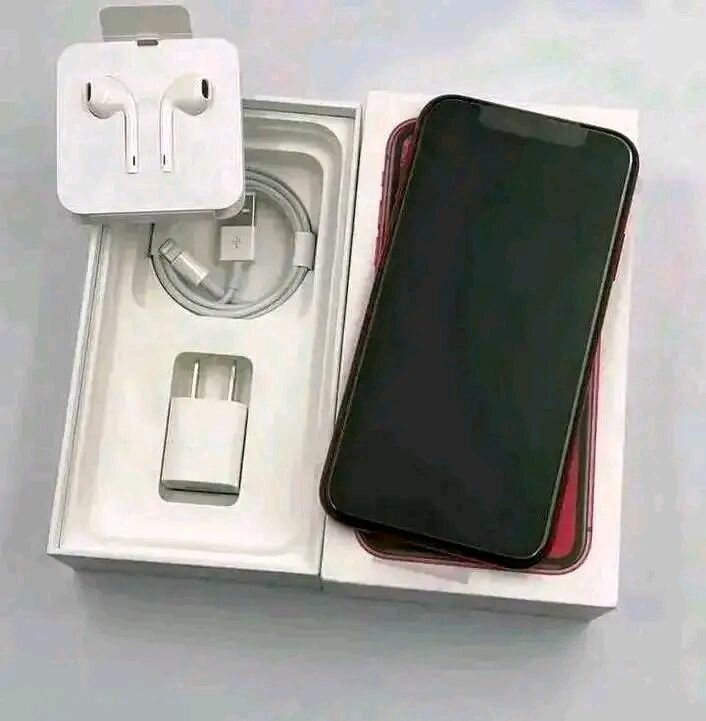 iPhone avec Accessoires Complets