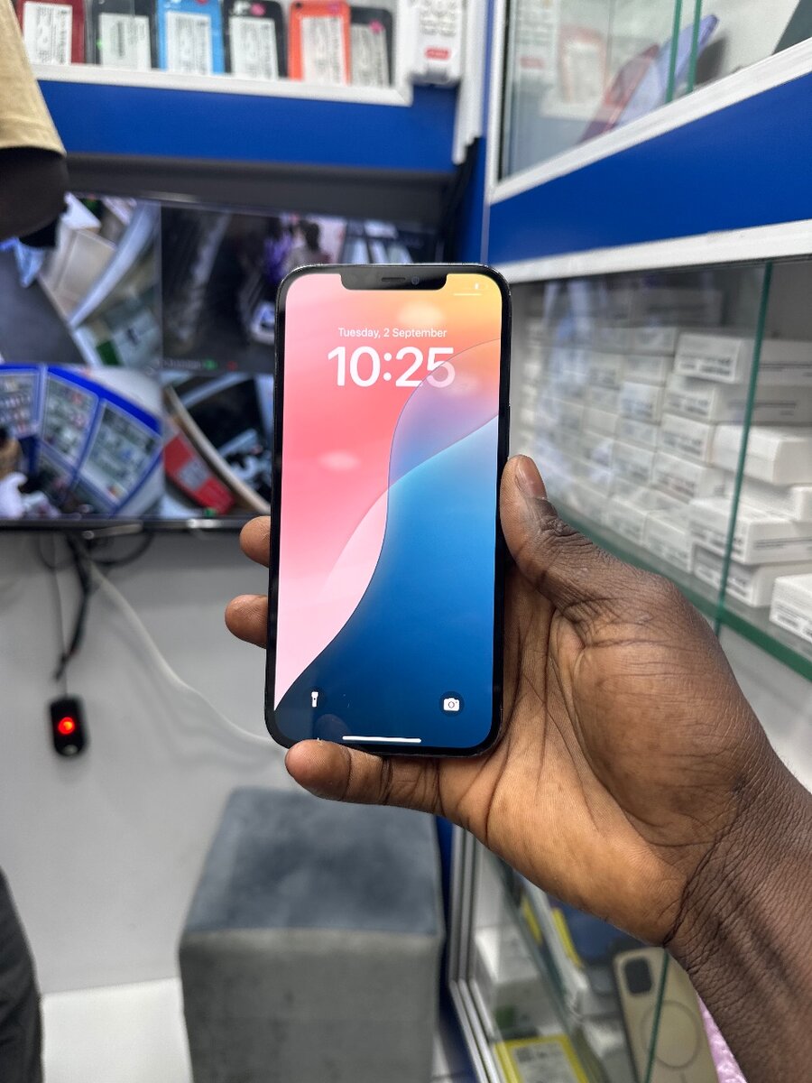 iPhone 12 Pro Max 256GB