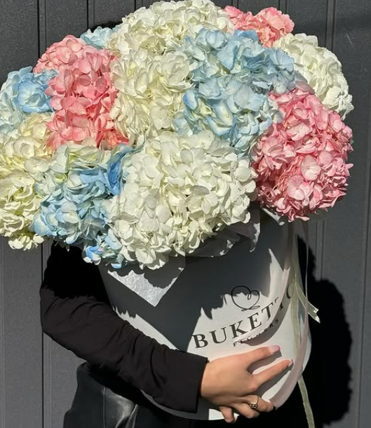  Королевские Гортензии 🤩