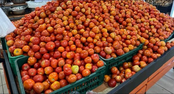 Tomates fraîches juteuses
