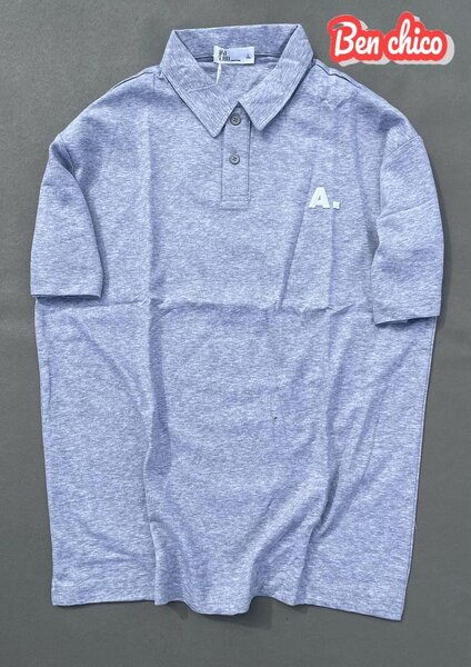 Polo en Coton Classique Homme