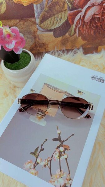 Lunettes de soleil élégantes