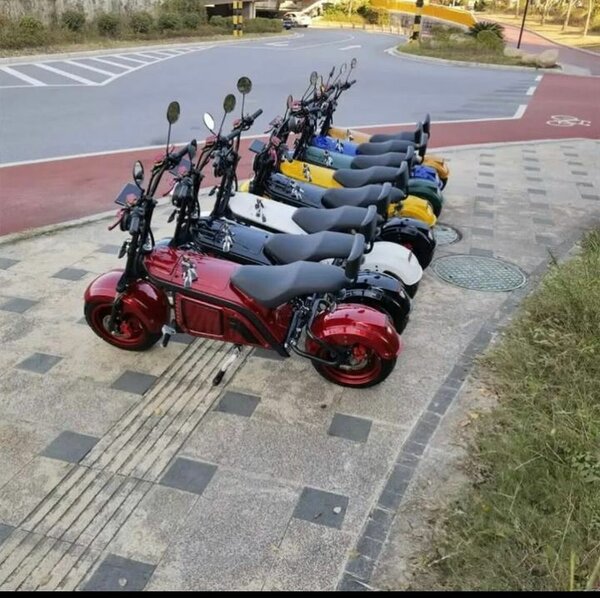 Scooters électriques élégants